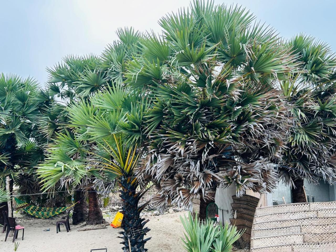 Delft Jeyam Resorts Delft East Luaran gambar