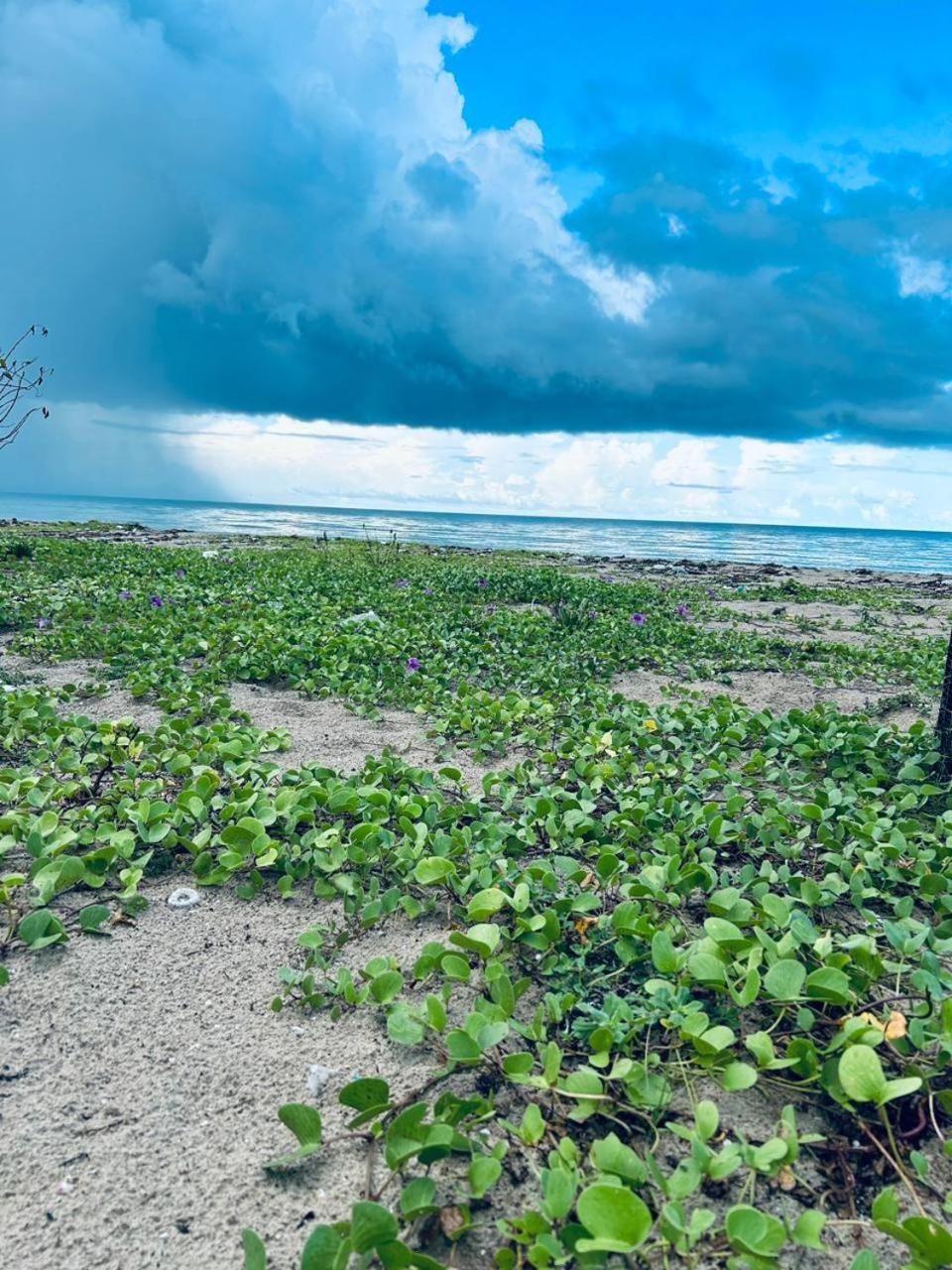 Delft Jeyam Resorts Delft East Luaran gambar
