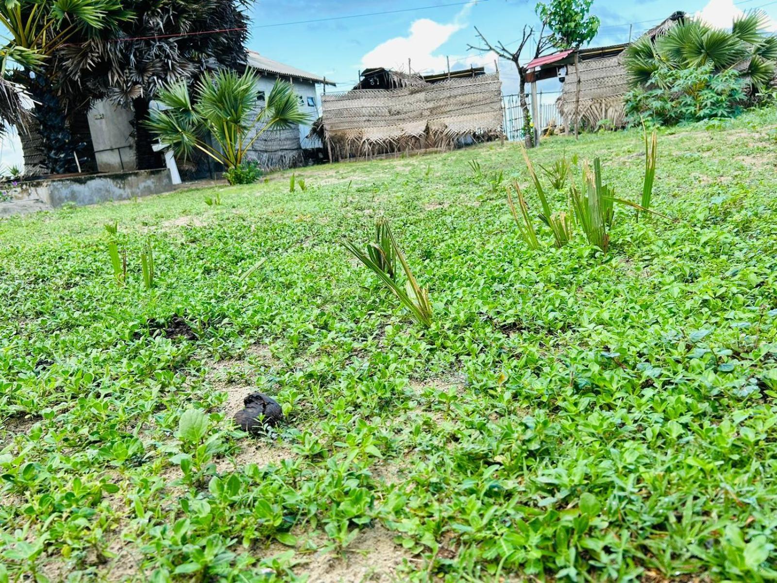 Delft Jeyam Resorts Delft East Luaran gambar